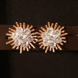 2/$15 Rose Gold & CZ Flower Earrings